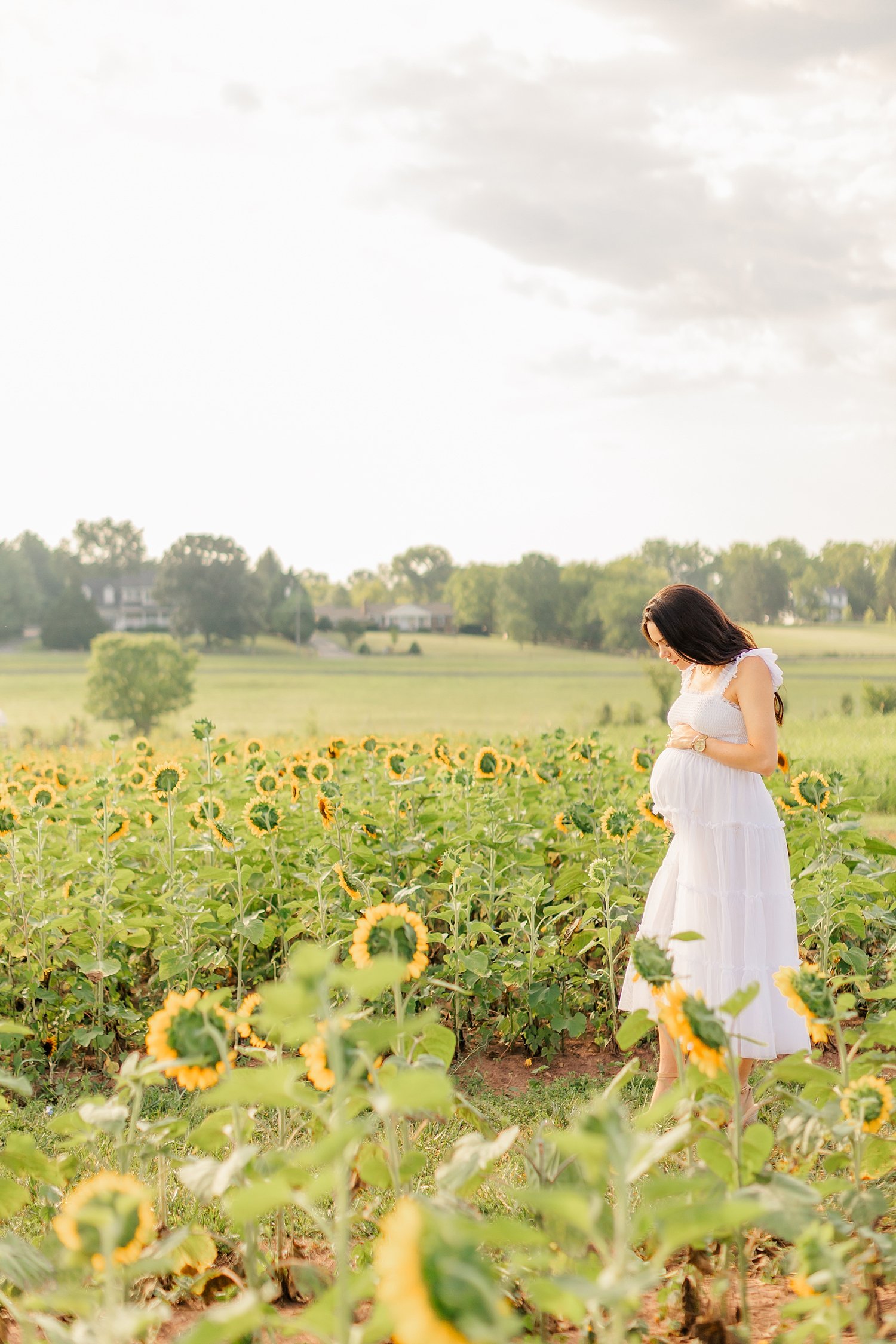 sarah-schmidt-photography-virginia-family-photographer-summer-sunflower-field-maternity-session_0039.jpg