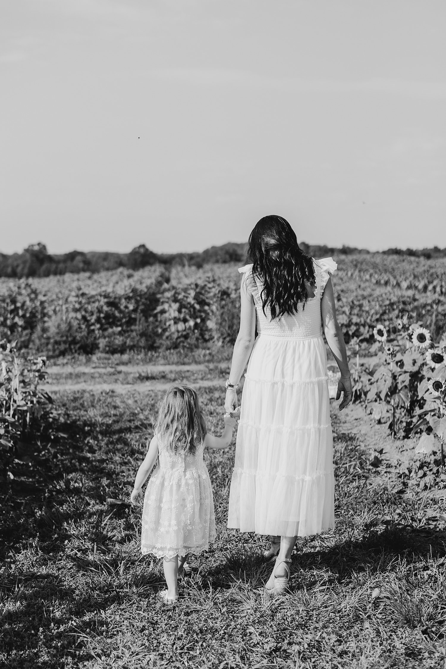 sarah-schmidt-photography-virginia-family-photographer-summer-sunflower-field-maternity-session_0055.jpg