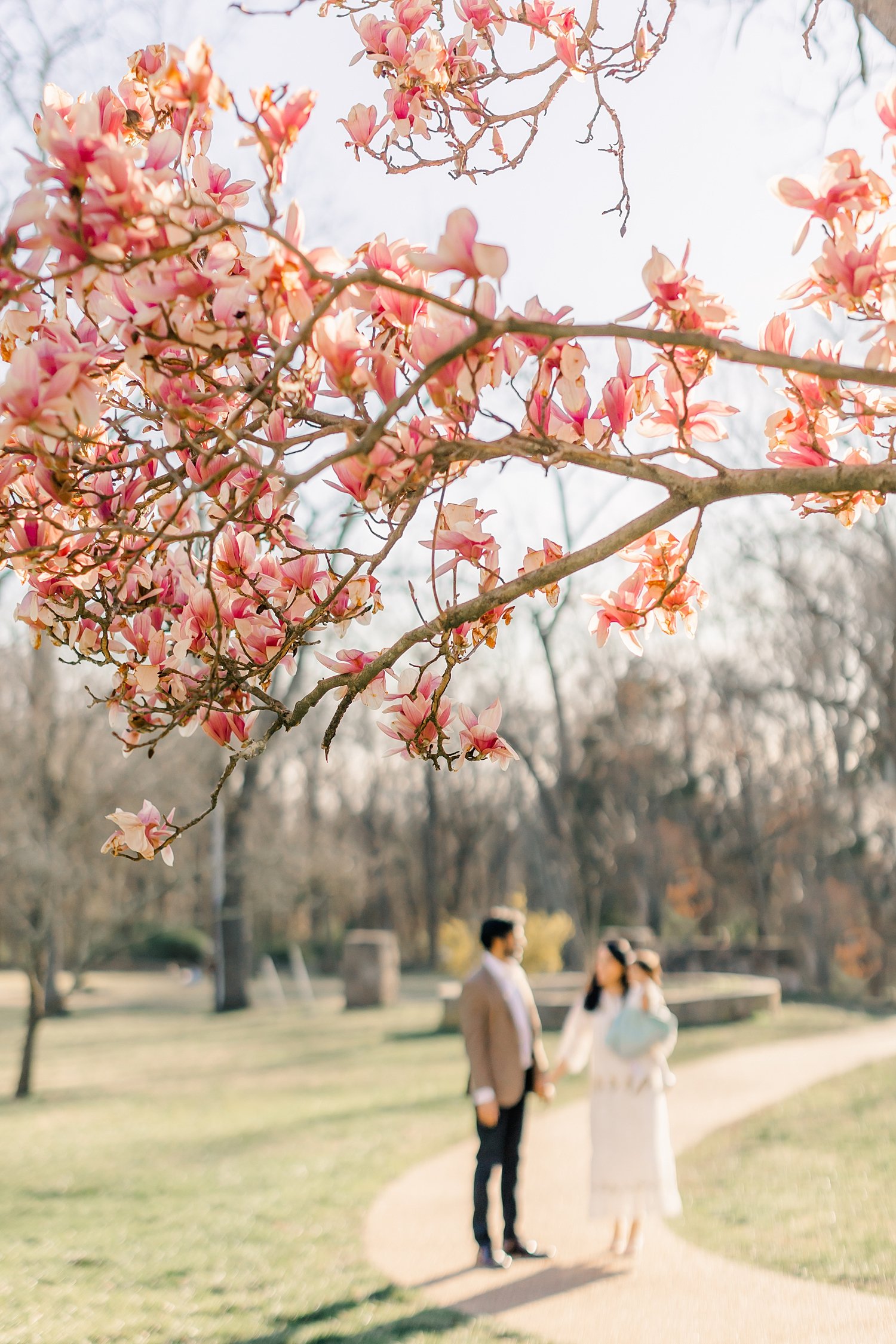 sarah-schmidt-photography-virginia-family-photographer-spring-magnolia-blossom-session_0009.jpg