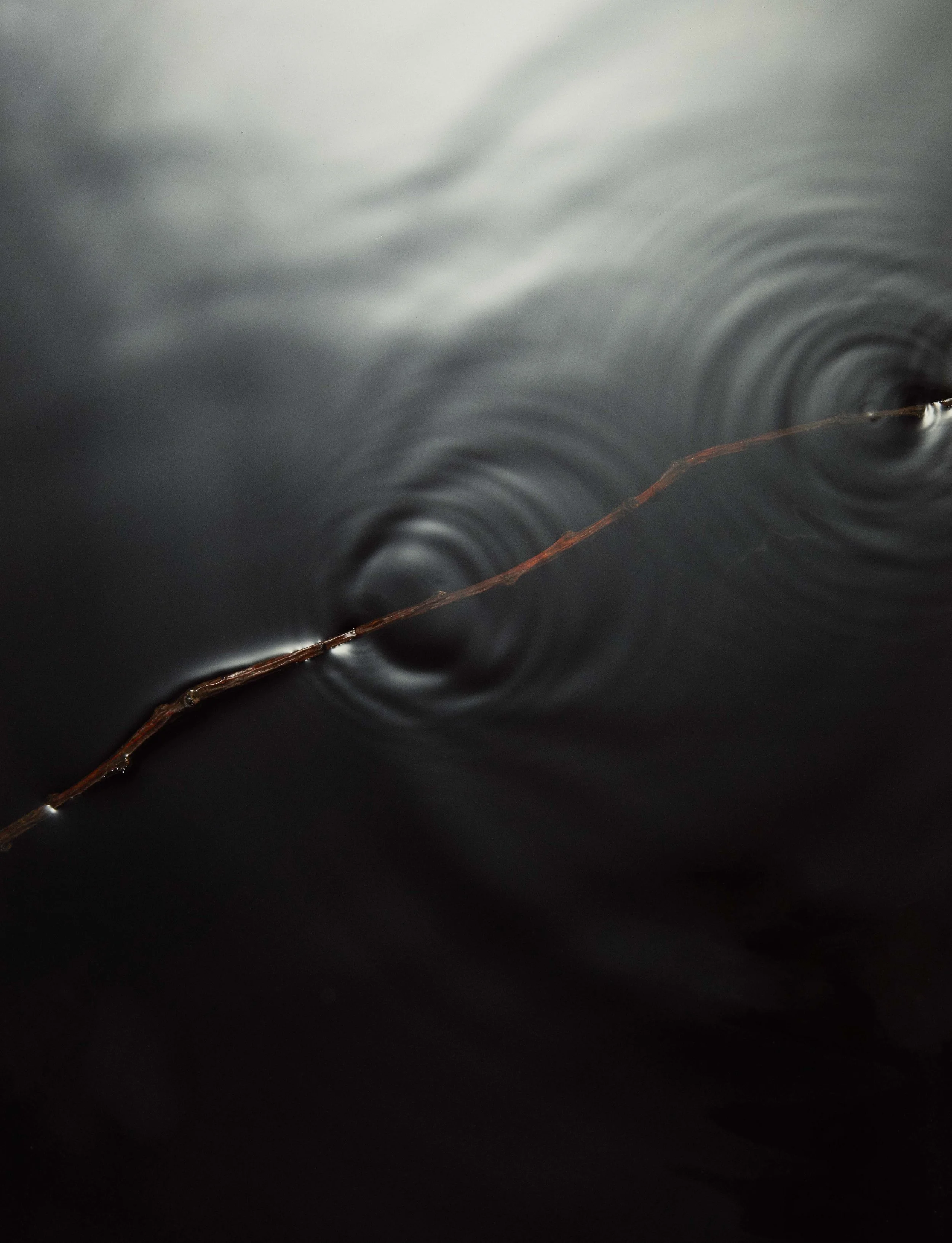 inwater01.jpg