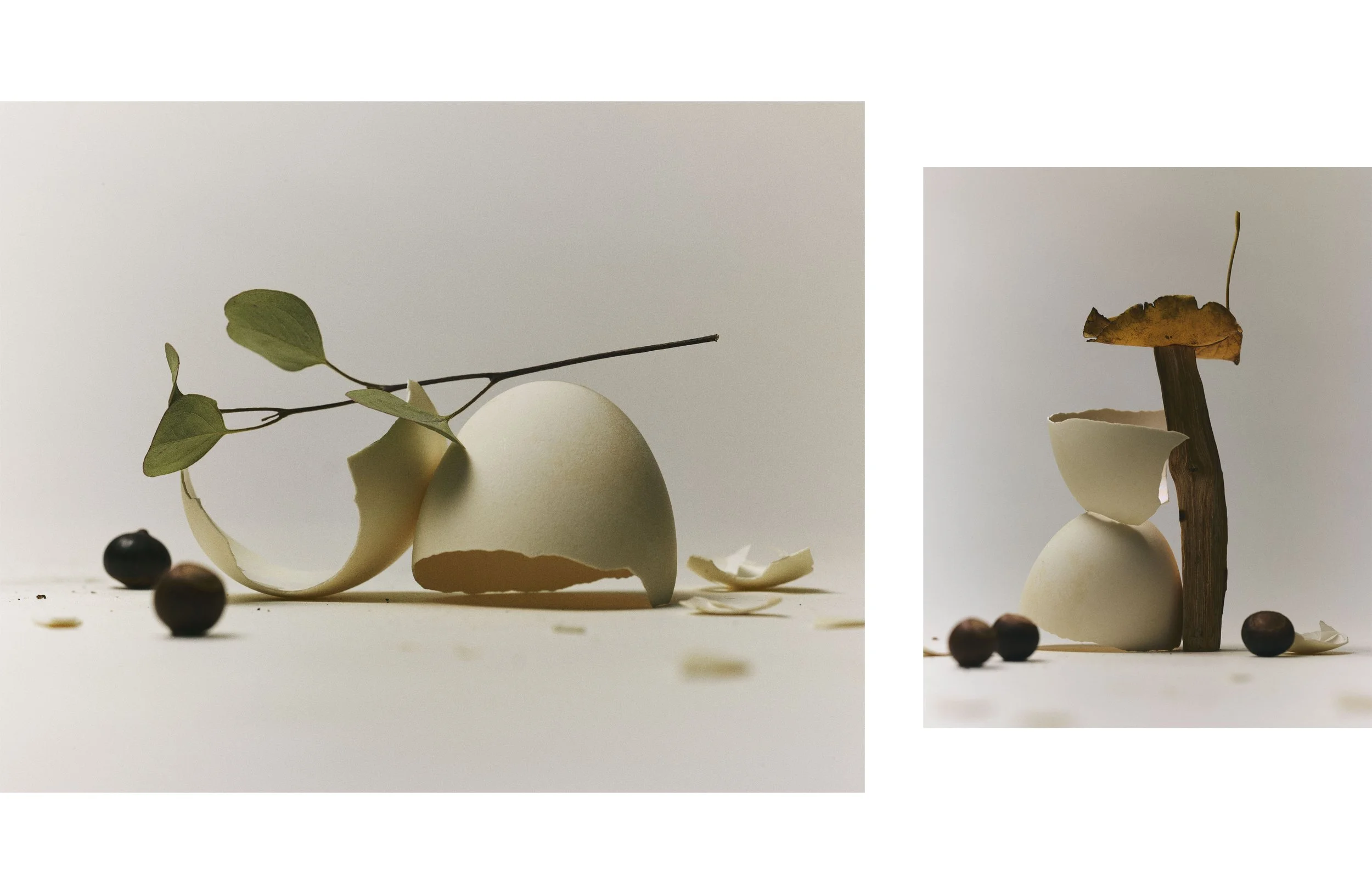 EggWinter001k_web.jpg