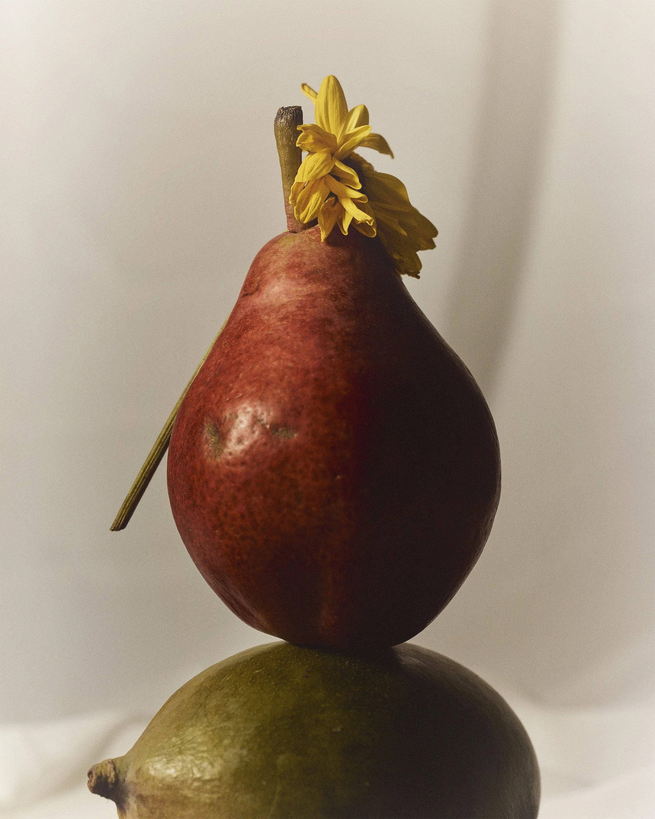 pear001_02.jpg