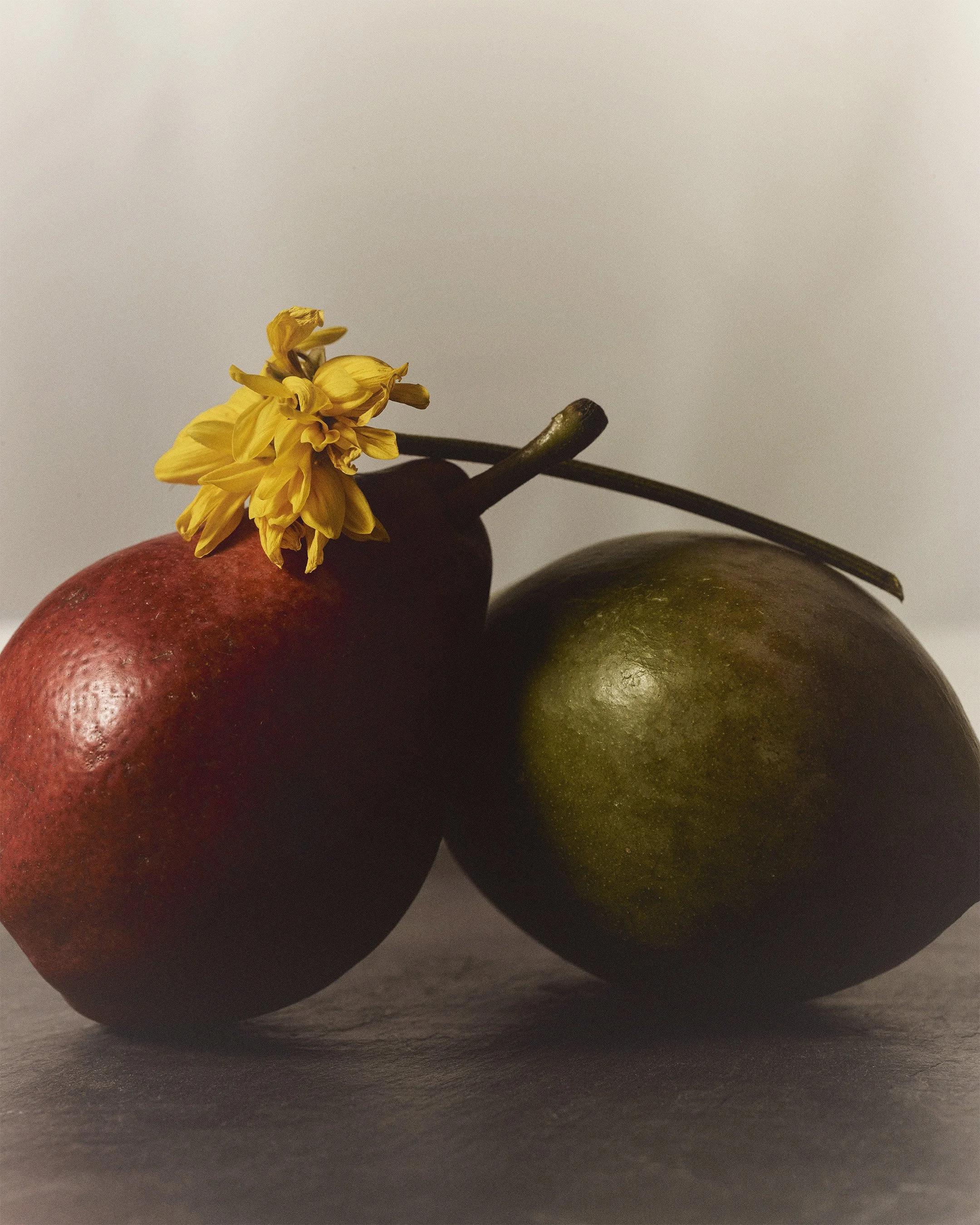 pear002_02.jpg