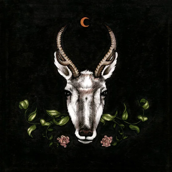 antelope_new.jpg