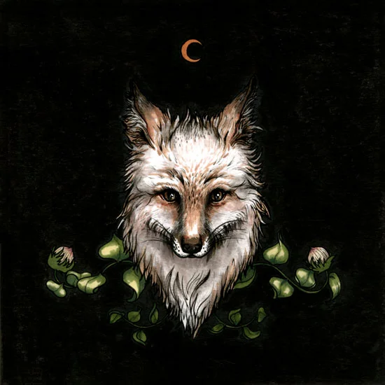 fox_new.jpg