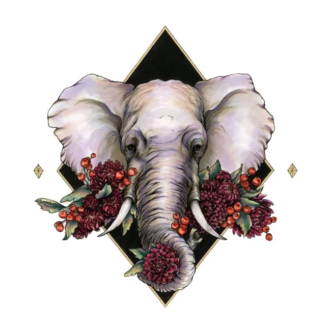 laneselephant_new.jpg