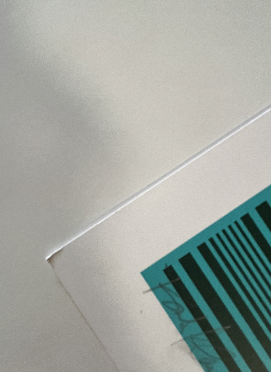 465IMG_8534 Large.png