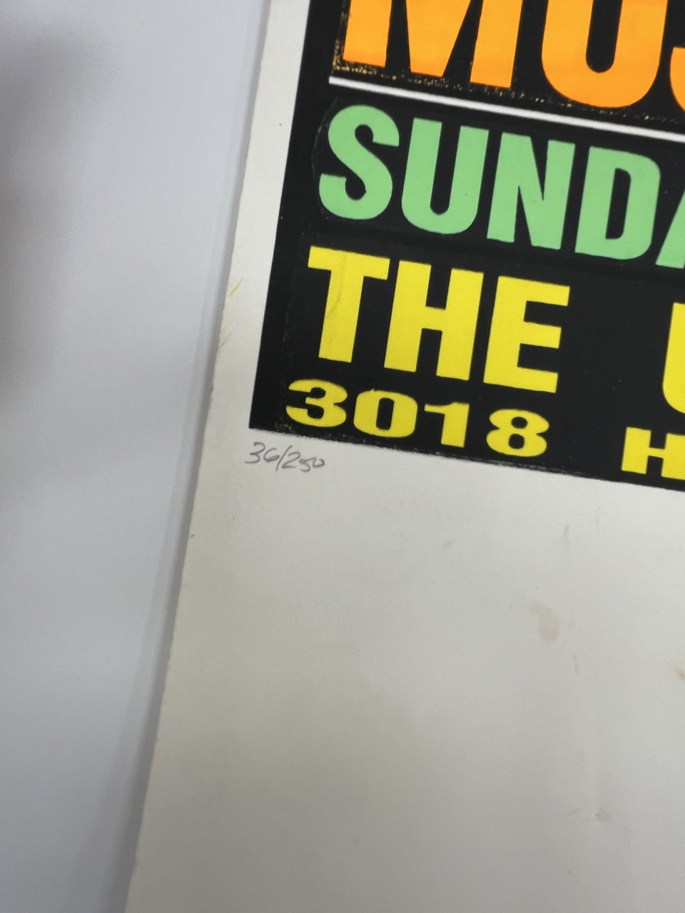 383IMG_8109 Large.png