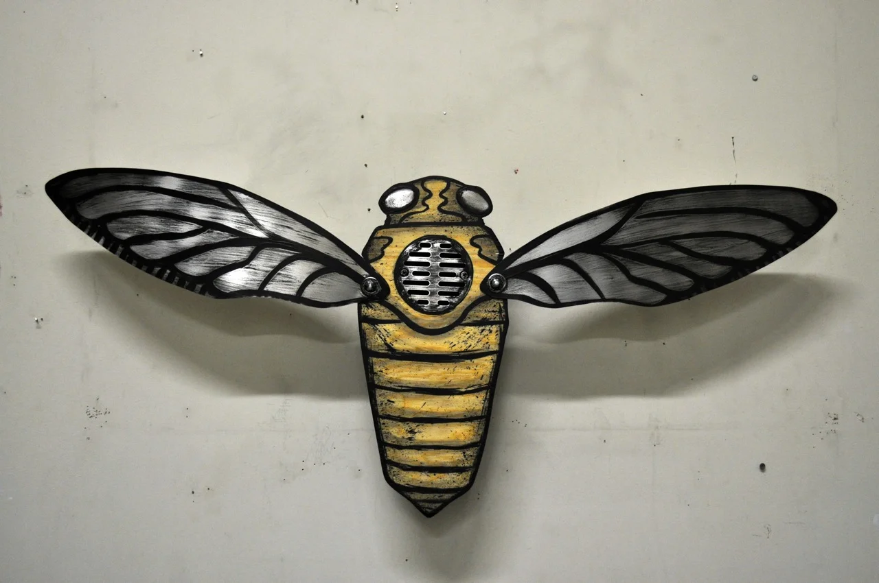 Amabassador Cicada Natural