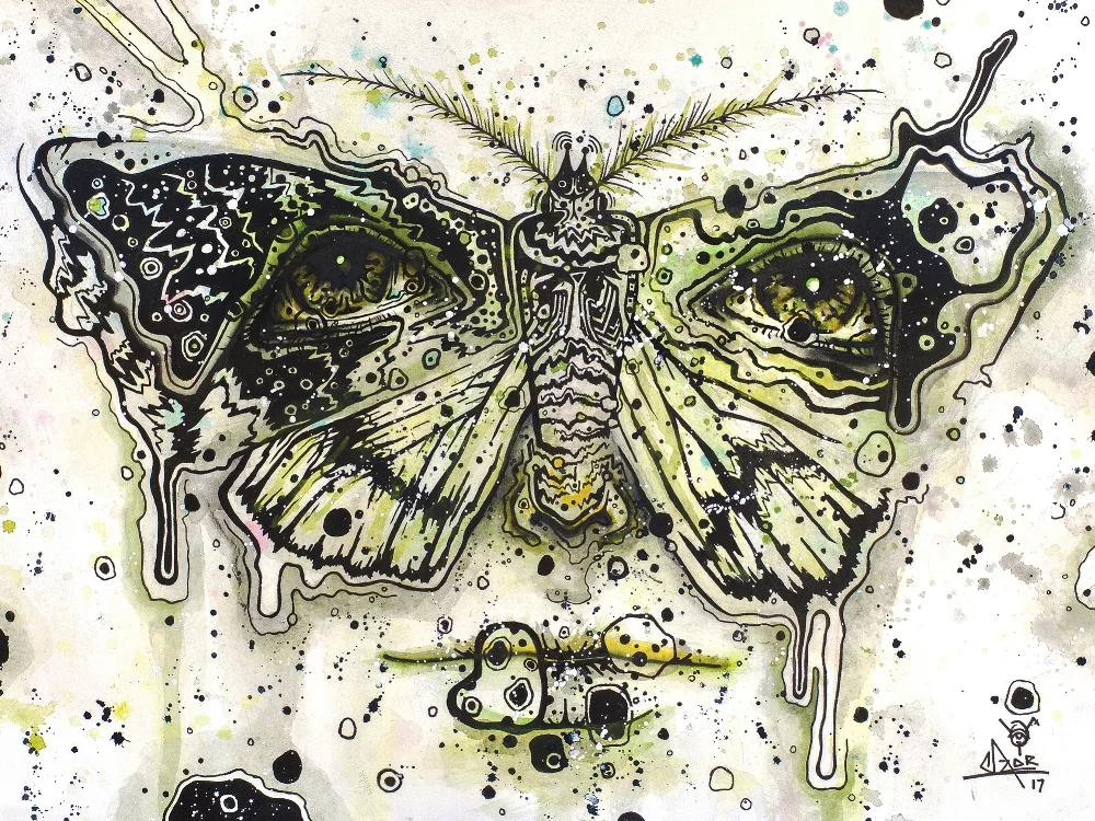 Lepidoptera
