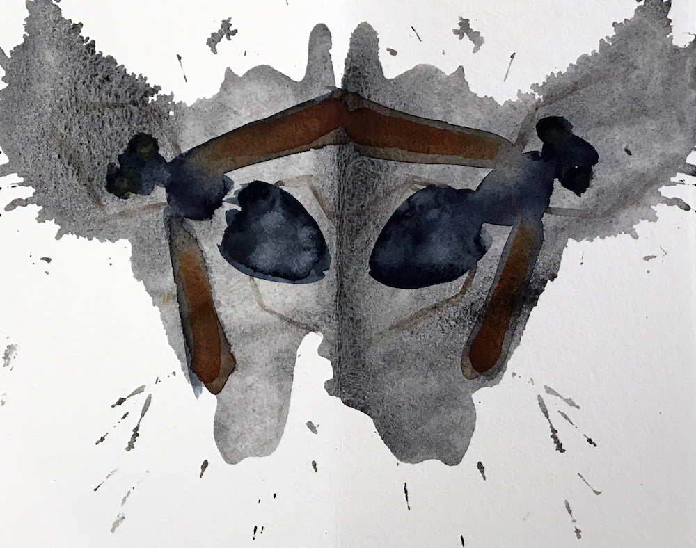 Flies