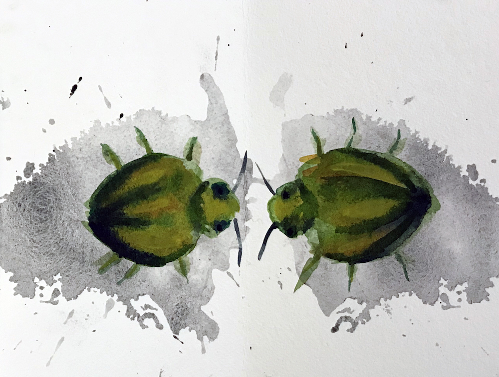Green Beetle