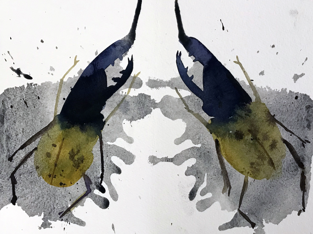 Horned Beetle