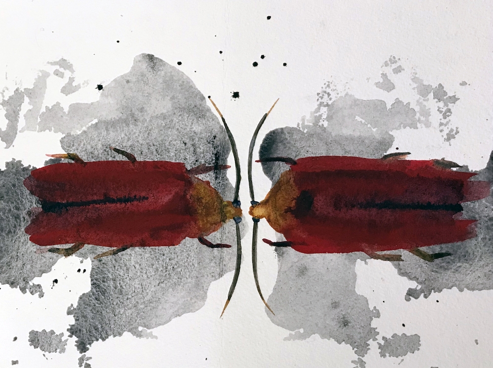 Red Beetle