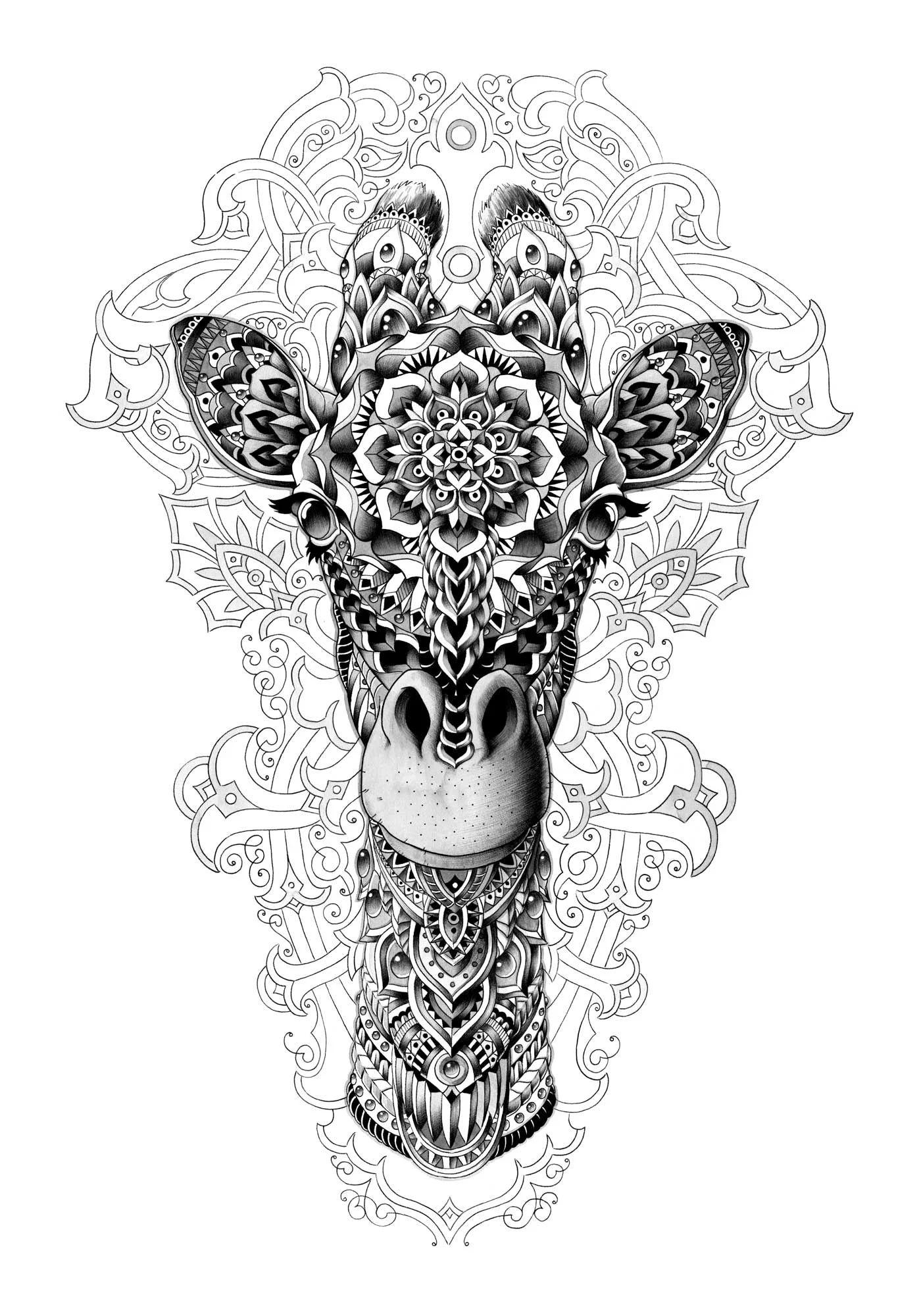 Giraffe