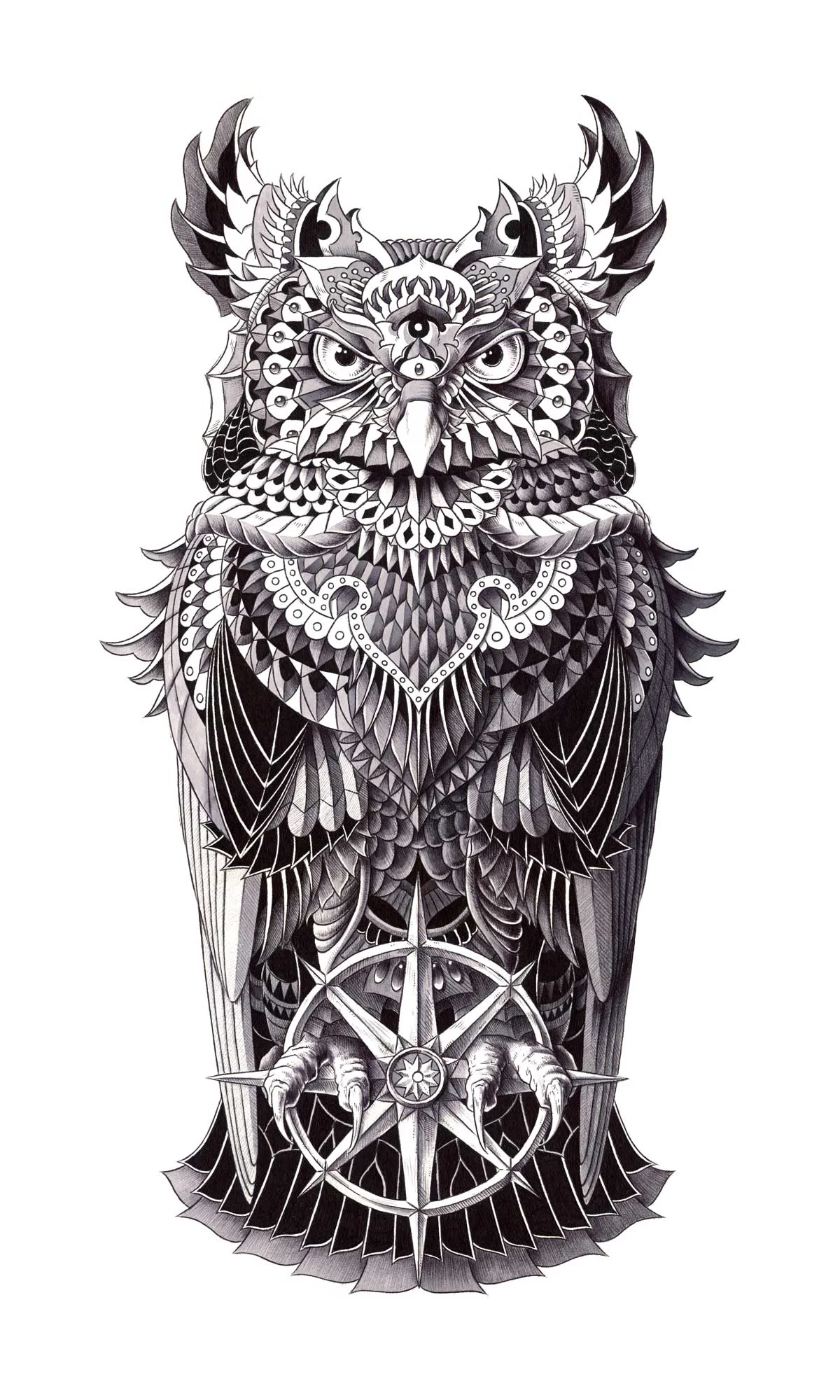 Grand Horned Owl
