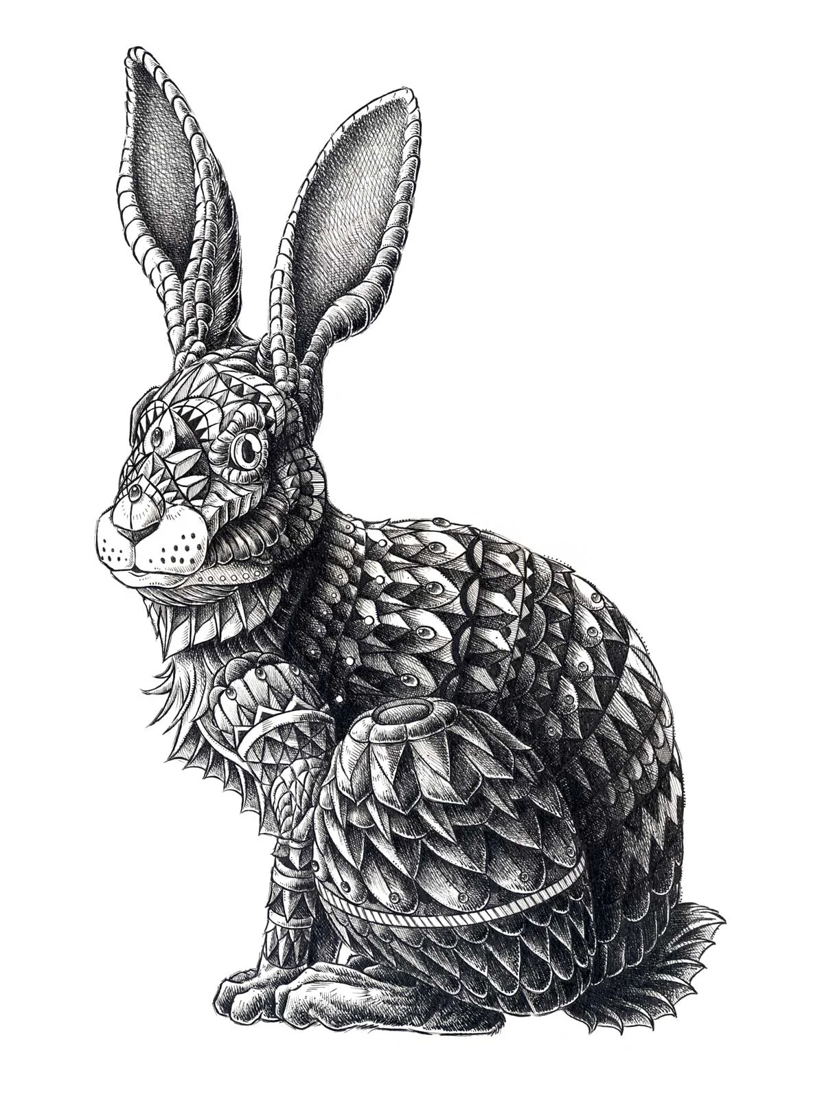 Rabbit
