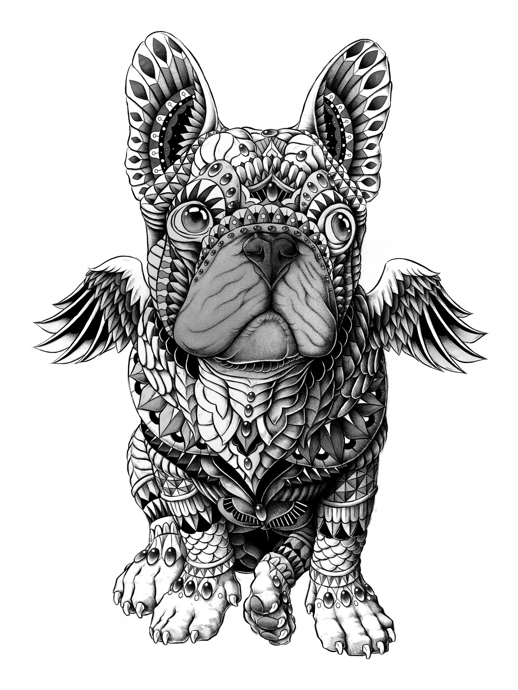 Frenchie