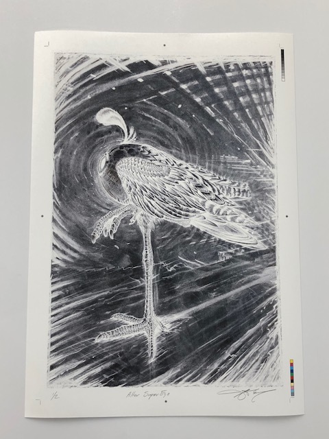image1.jpeg