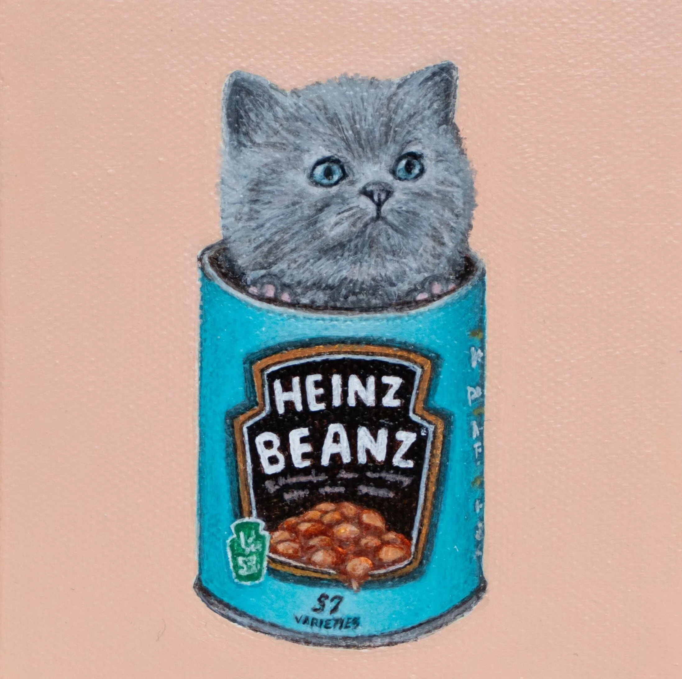 baking the beans cat