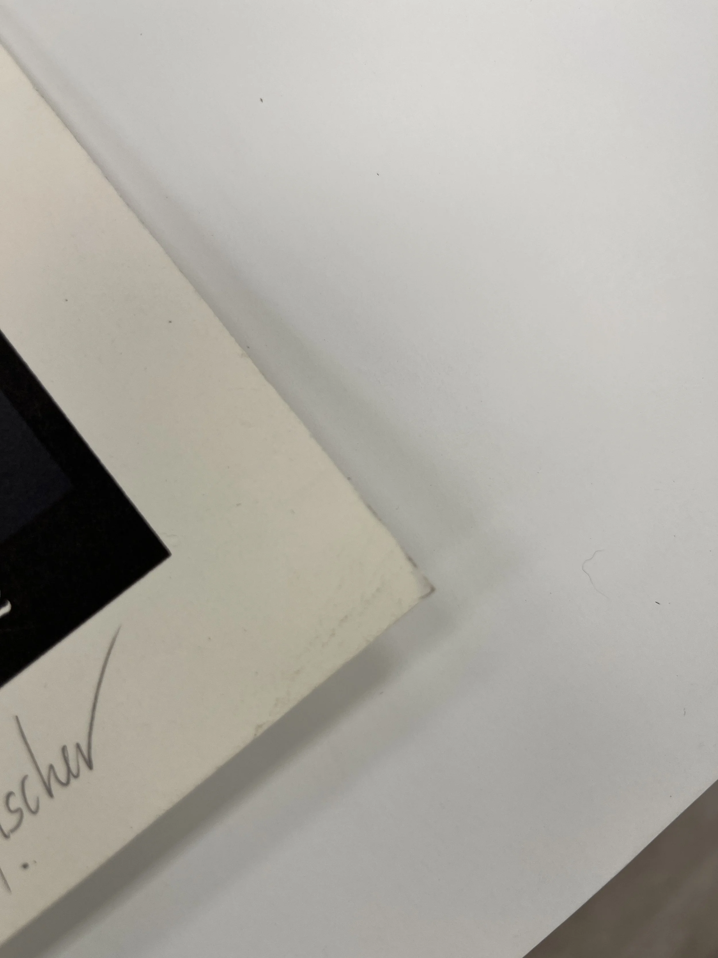 387 damageIMG_8128.JPG