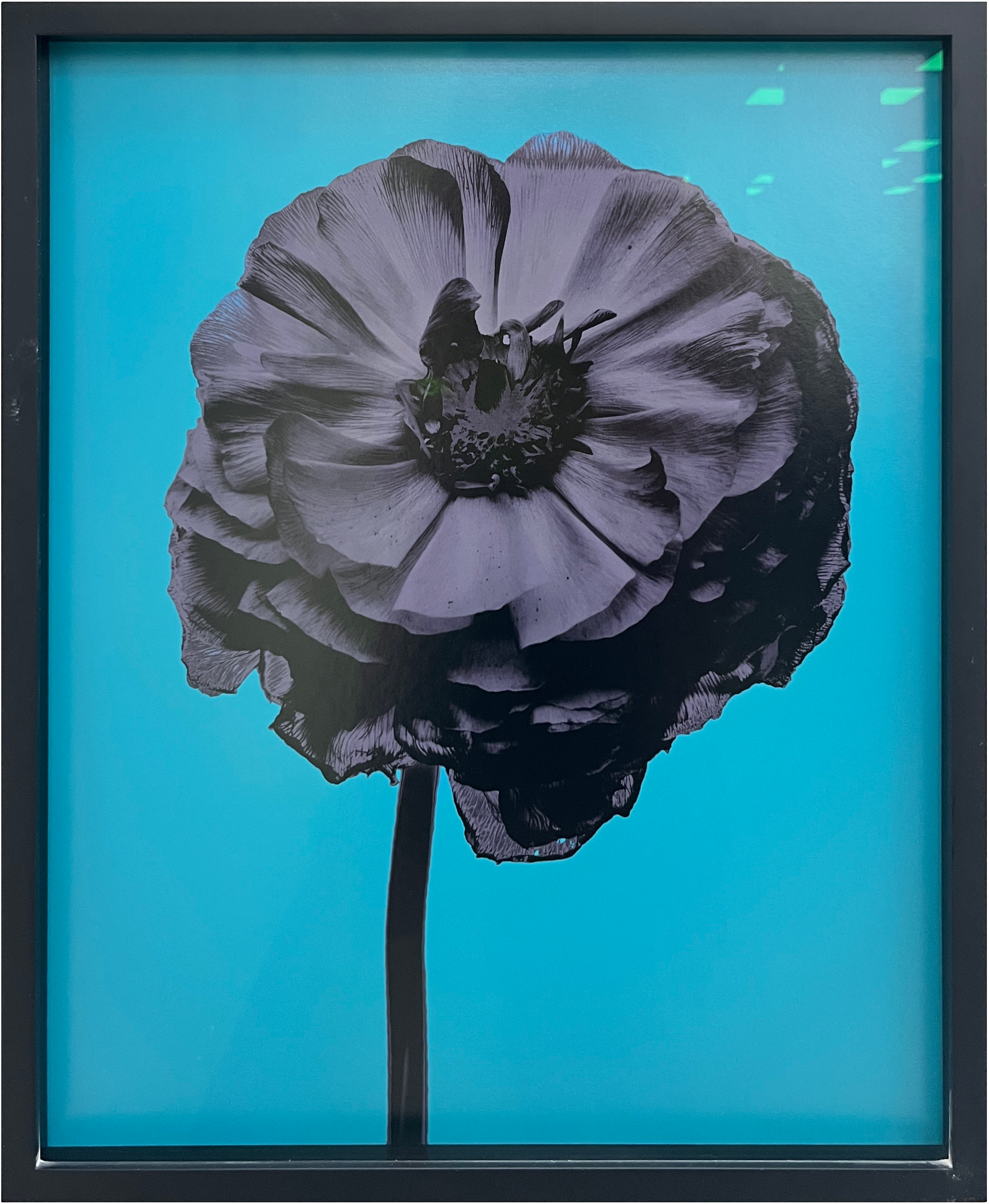 Untitled 4.png