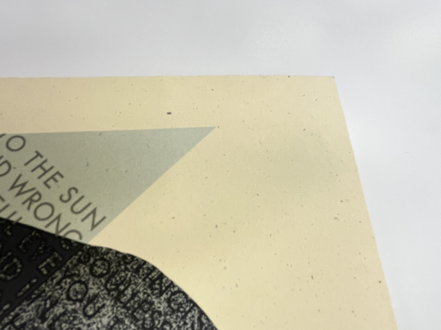 499 499IMG_8646 Medium.png