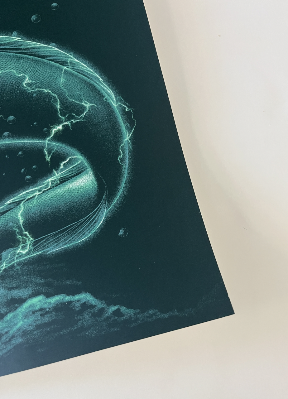 469 + 470IMG_8548 Large.png