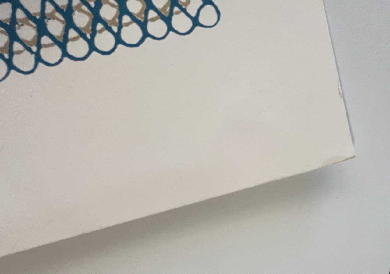 426IMG_8339 Large.png