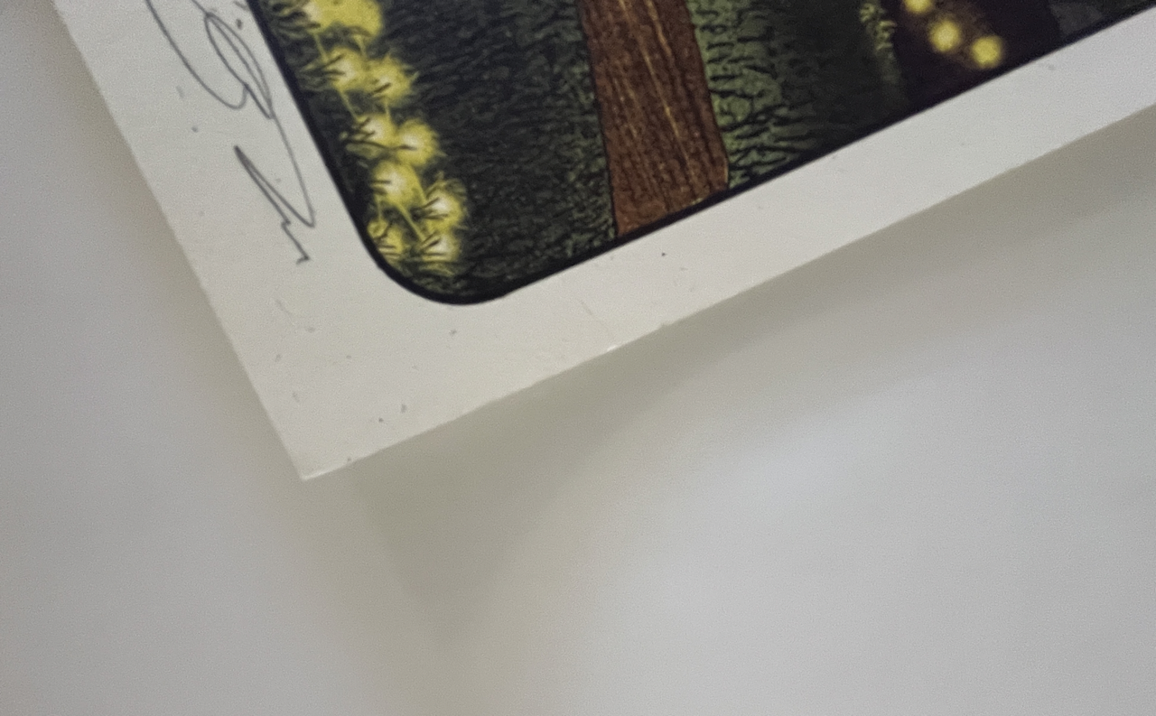 477IMG_8585 Large.png