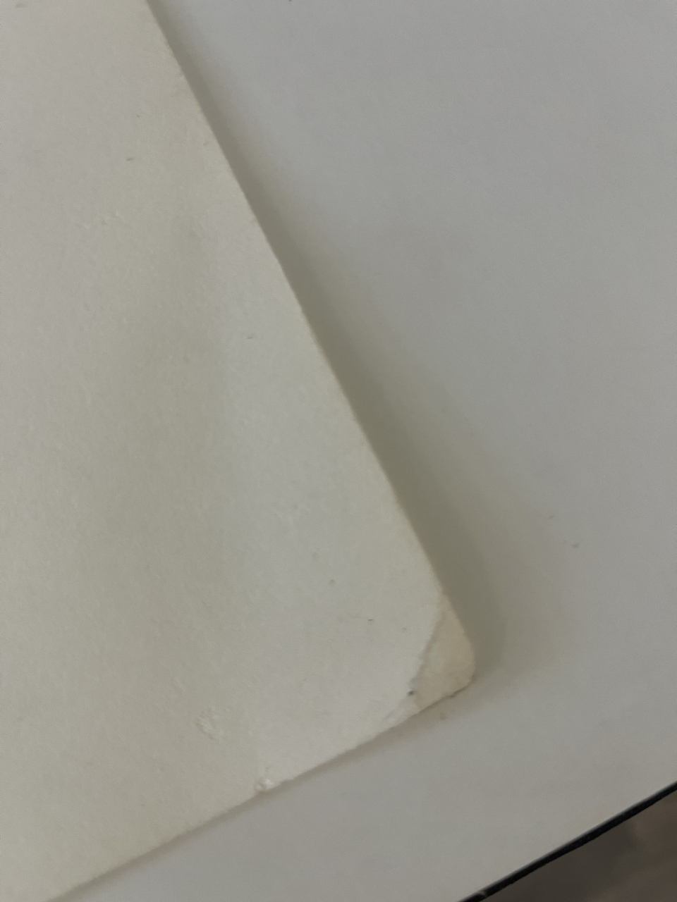 433IMG_8436 Large.png