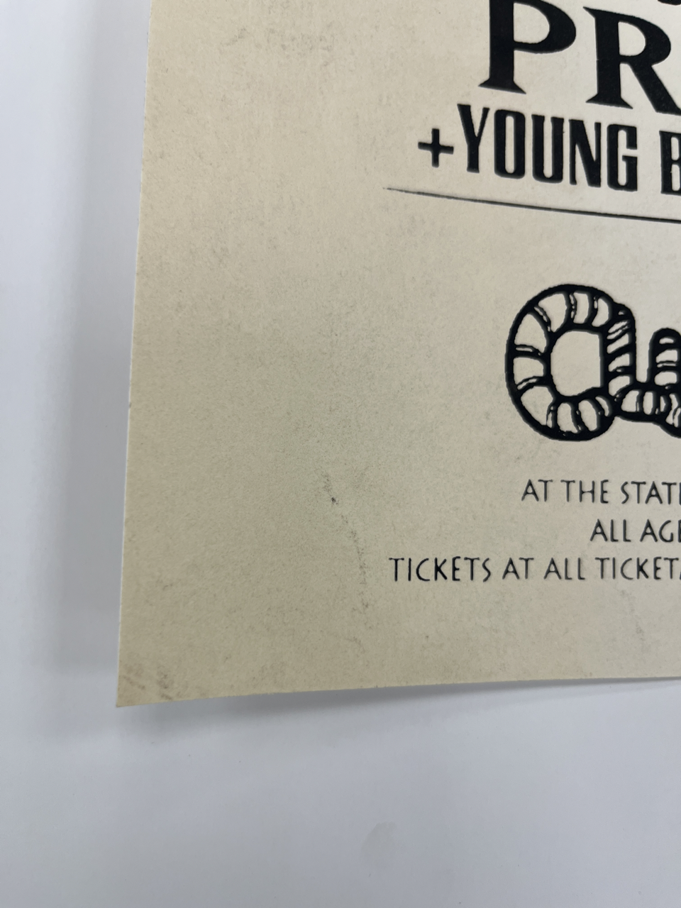 388 damageIMG_8132 Large.png