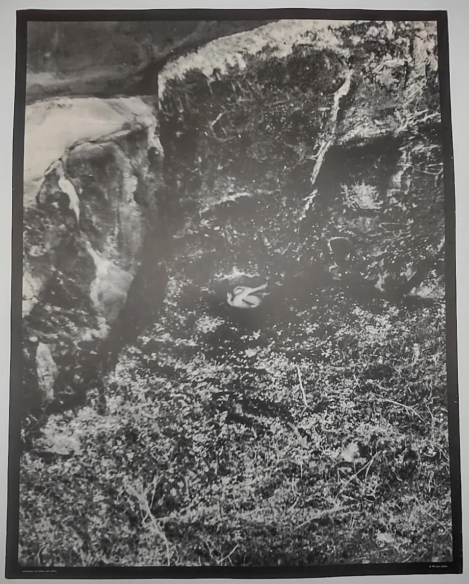 J1457.jpg
