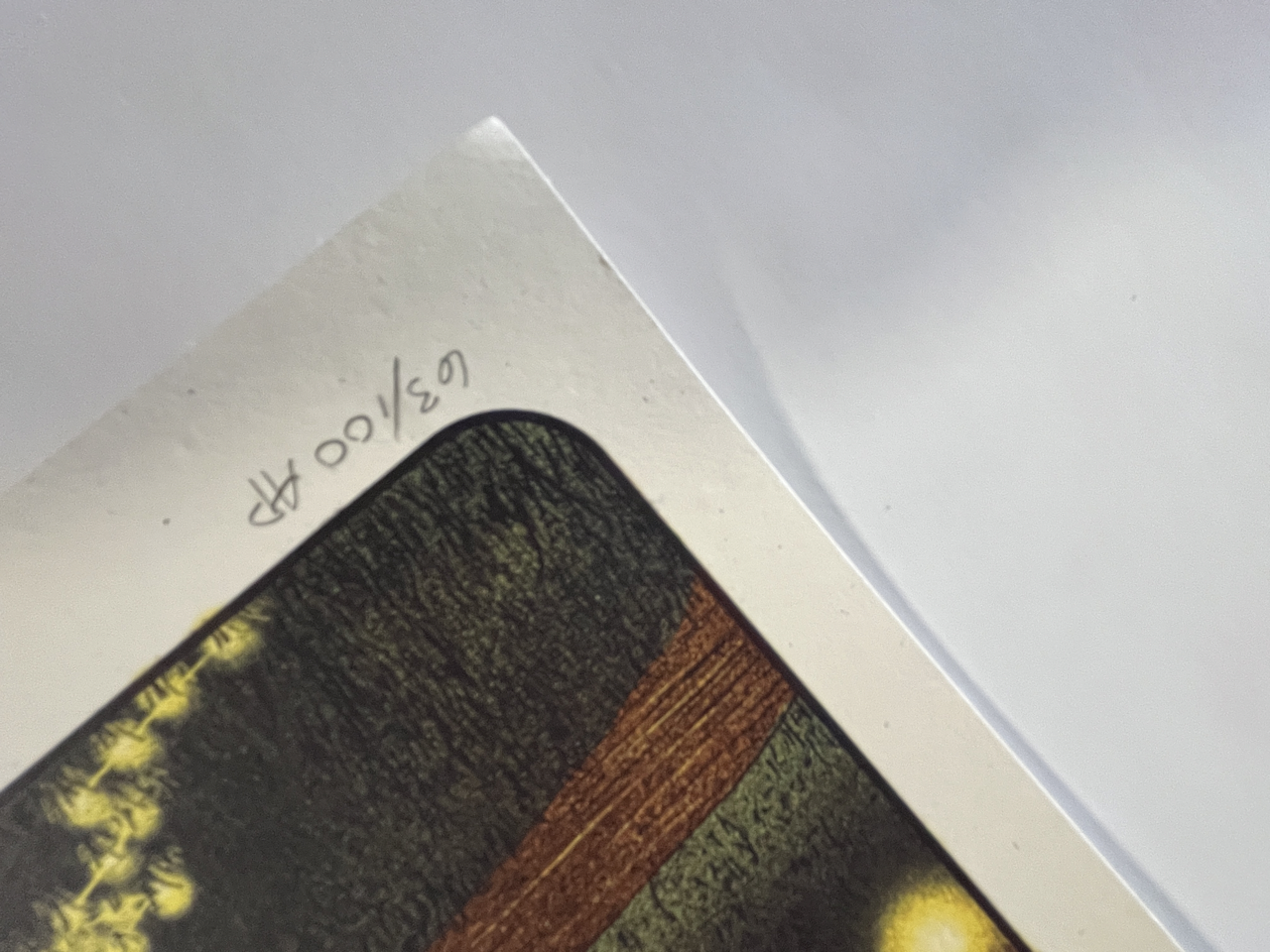 477IMG_8586 Large.png