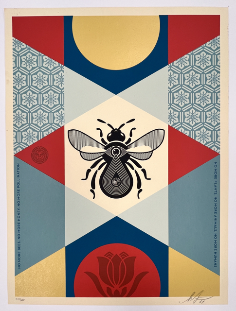 533 IMG_8782 Medium.png