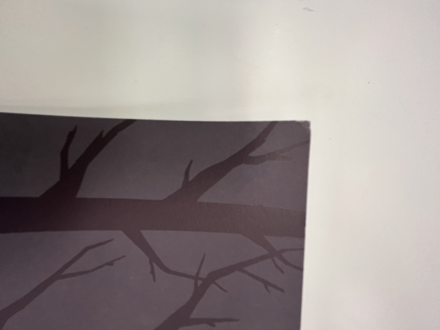803 IMG_9912 Medium.png