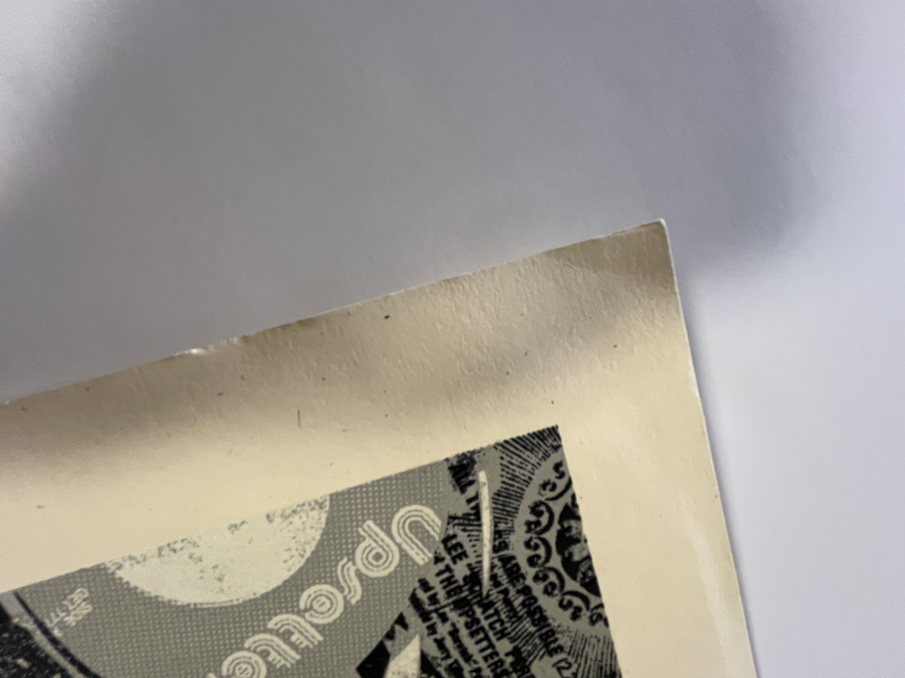 410IMG_8259 Large.png