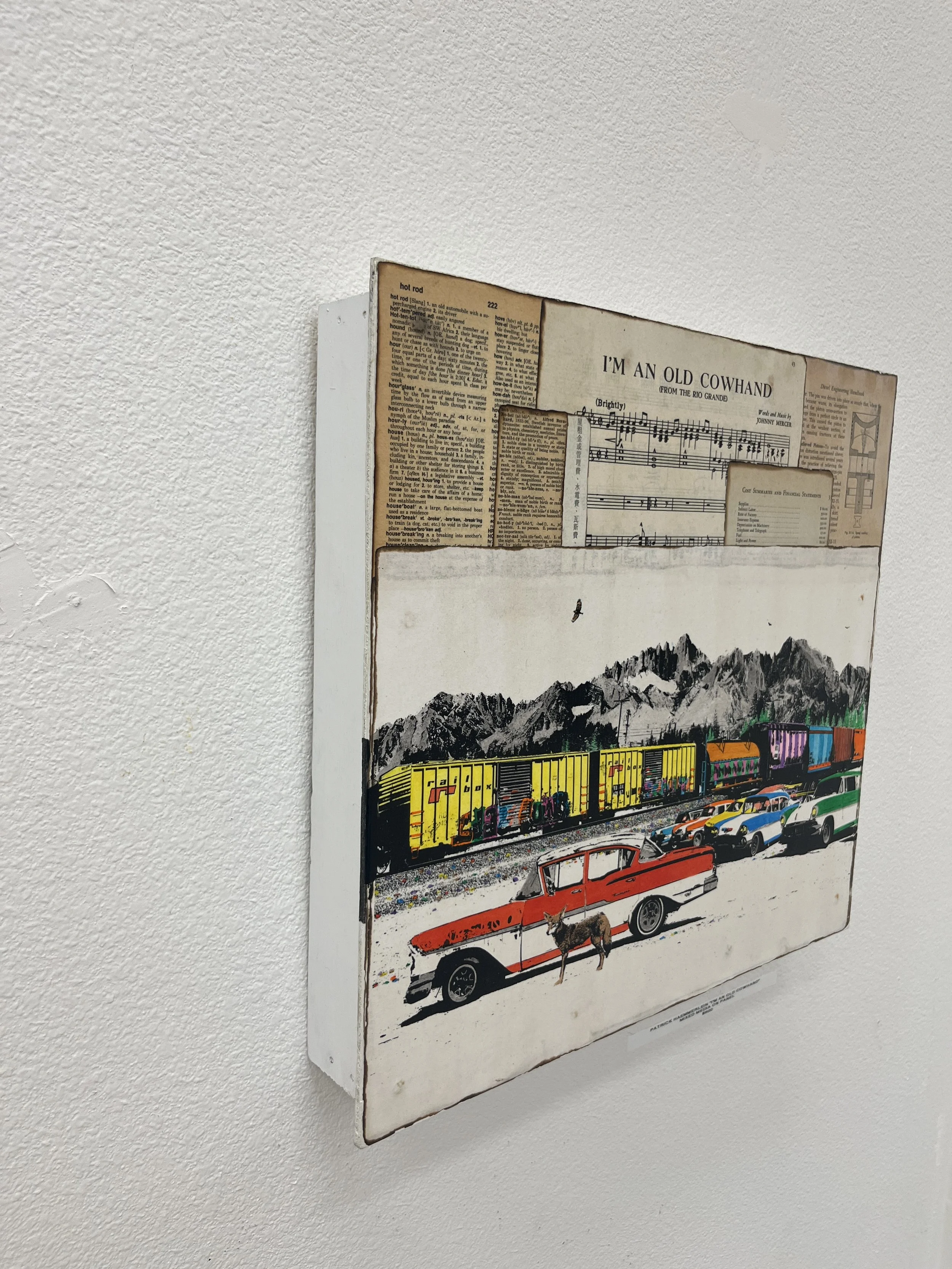 Old Cow Hand Patrick Haemmerlein IMG_6633.JPG