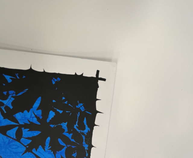 534 IMG_8790 Medium.png