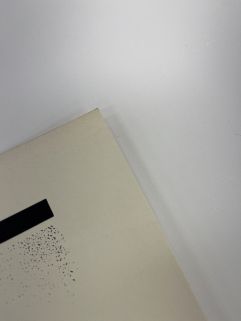 388 damageIMG_8134 Large.png