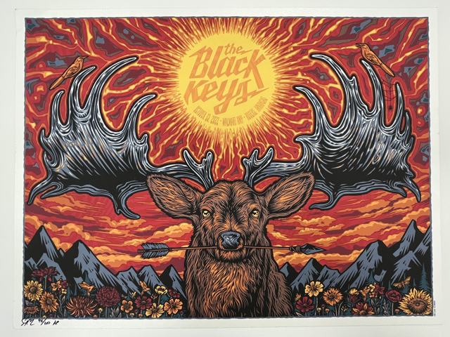 538 IMG_8807 Medium.png