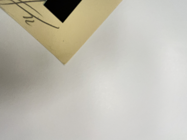 504 IMG_8656 Medium.png