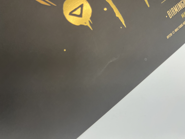 809 IMG_9937 Medium.png