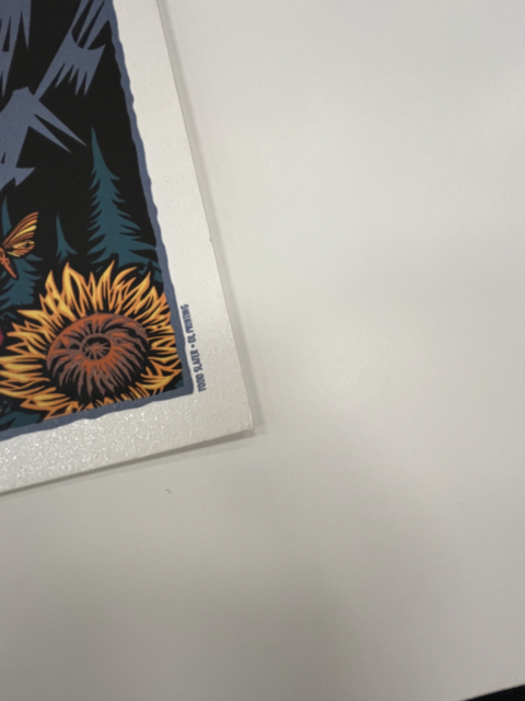 538 IMG_8804 Medium.png