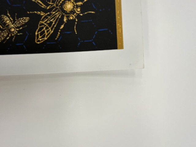 541 IMG_8816 Medium.png
