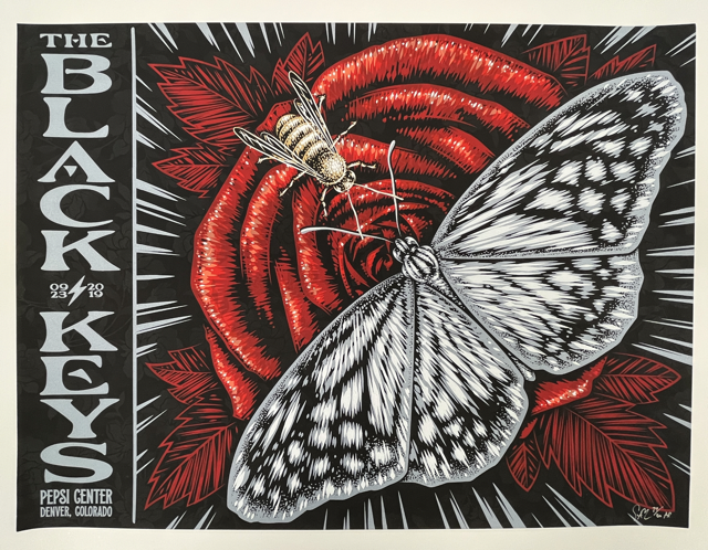 537 IMG_8802 Medium.png