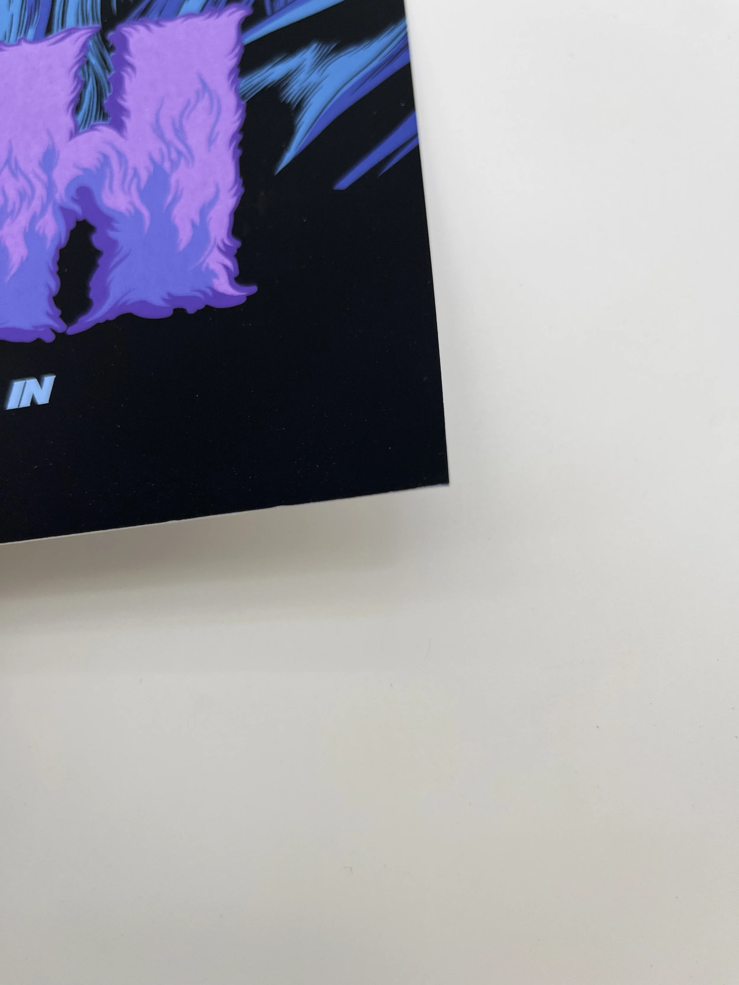 J893 + 4 + 5IMG_5078.JPG