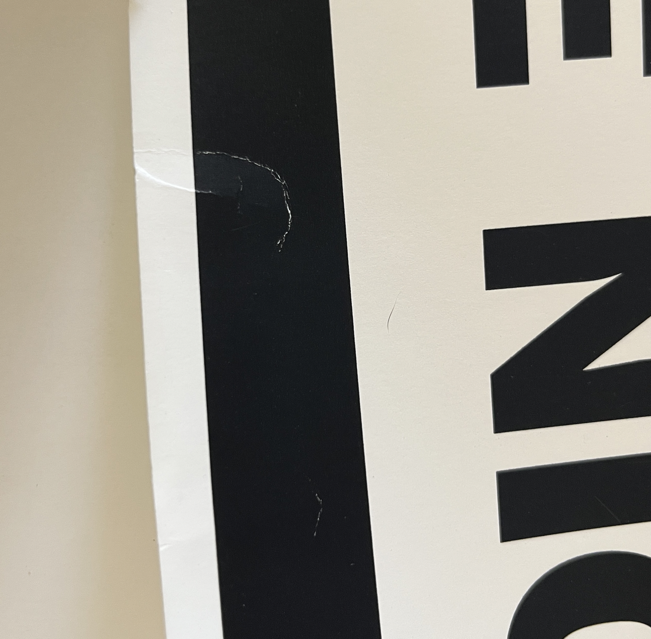 459IMG_8515 Large.png