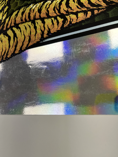 178 damageIMG_7086 Medium.png