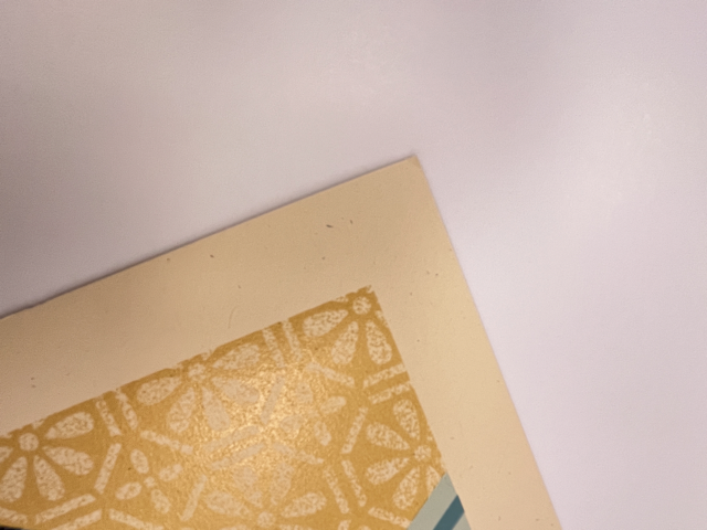 504 IMG_8658 Medium.png